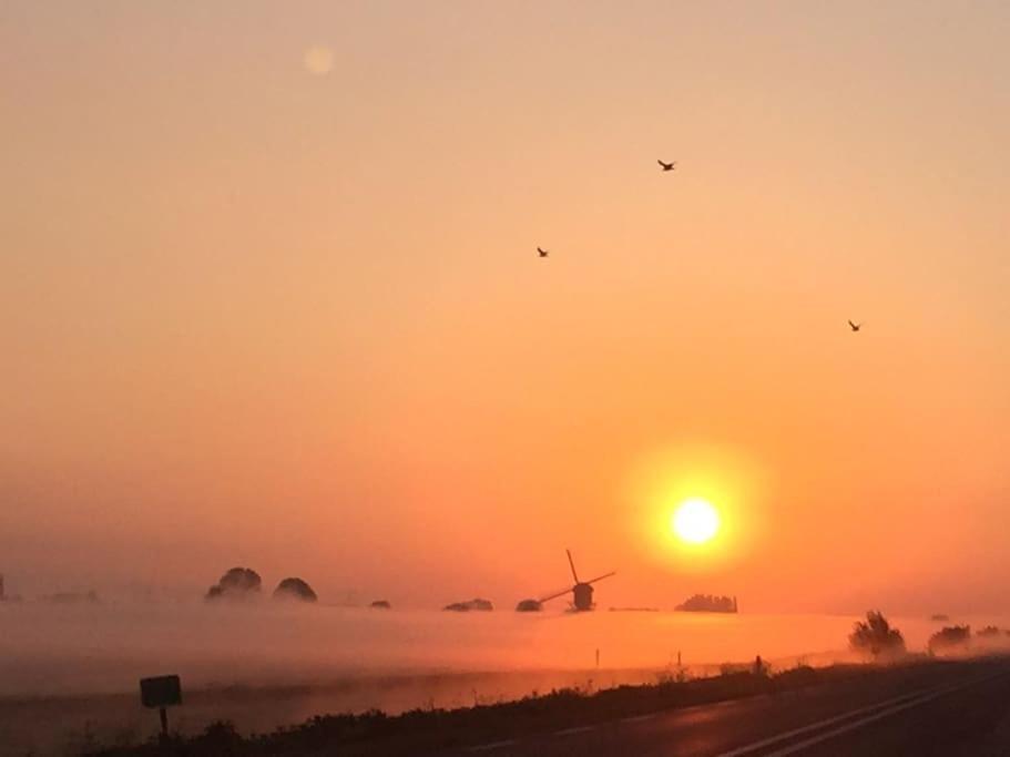 Warmond Near Amsterdam, The Hague, Leiden And North Sea 빌라 외부 사진